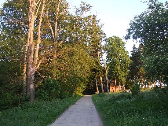 po lewej stary zaronity park, po prawej kociek  i cmentarz